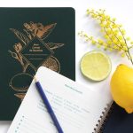 Carnet de recettes Lemonade vert sapin de la marque Les Editions du Paon