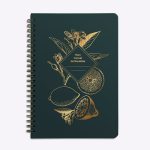 Carnet de recettes Lemonade vert sapin de la marque Les Editions du Paon