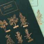 Carnet de recettes Mes aromates vert sapin de la marque Les Editions du Paon