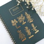 Carnet de recettes Mes aromates vert sapin de la marque Les Editions du Paon