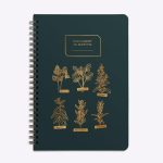 Carnet de recettes Mes aromates vert sapin de la marque Les Editions du Paon