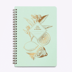 Carnet de recettes Lemonade vert d'eau de la marque Les Editions du Paon
