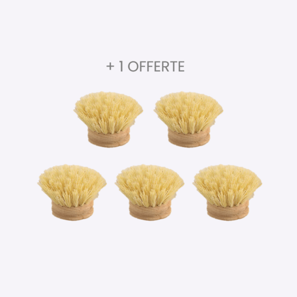 Lot de 5 têtes de rechange pour brosse à vaisselle + 1 offerte